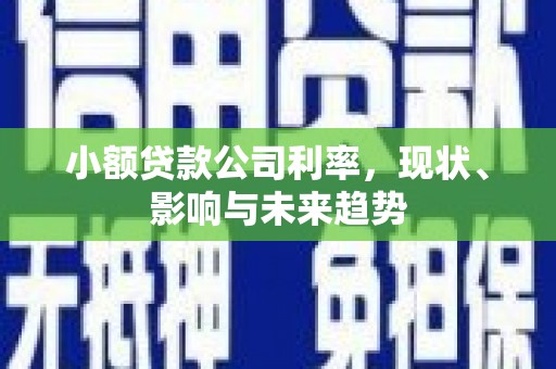 章丘小额贷款公司利率，现状、影响与未来趋势