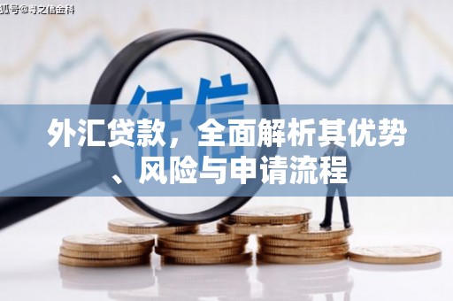 章丘外汇贷款，全面解析其优势、风险与申请流程