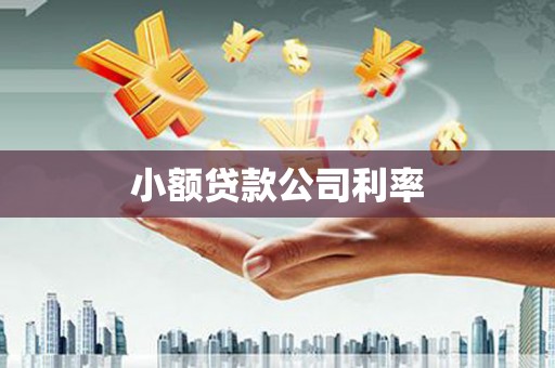 章丘小额贷款公司利率