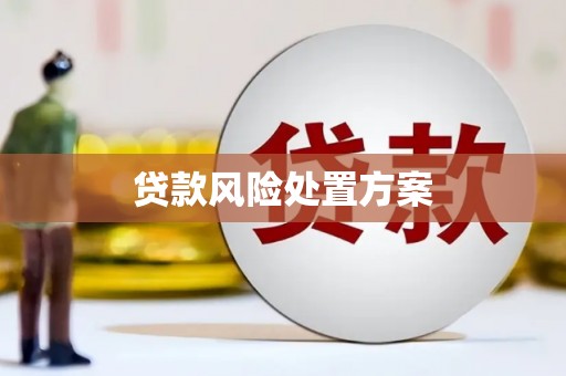 章丘贷款风险处置方案