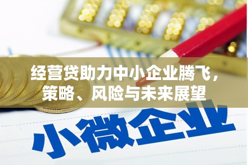 章丘经营贷助力中小企业腾飞，策略、风险与未来展望