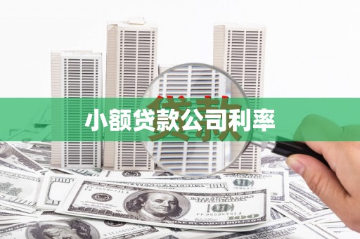 章丘小额贷款公司利率