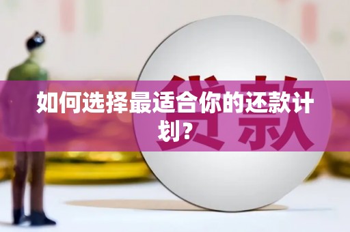 章丘如何选择最适合你的还款计划？