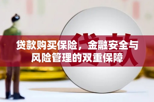 章丘贷款购买保险，金融安全与风险管理的双重保障
