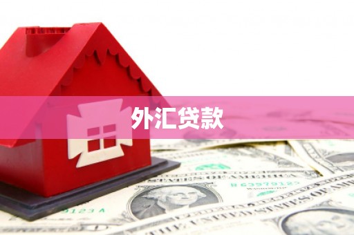 章丘外汇贷款
