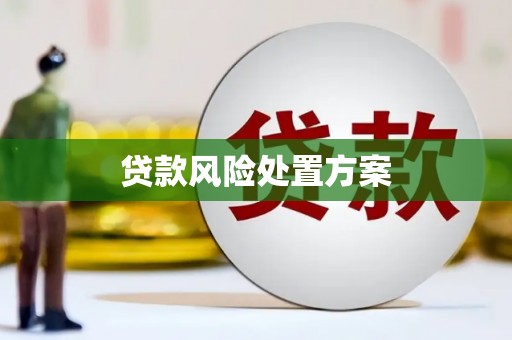 章丘贷款风险处置方案