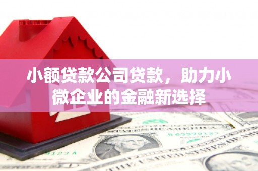 章丘小额贷款公司贷款，助力小微企业的金融新选择