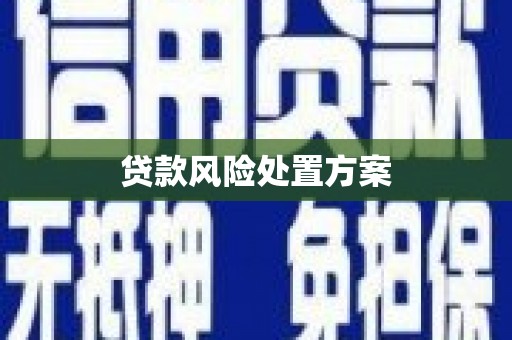 章丘贷款风险处置方案