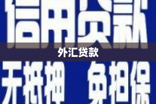 章丘外汇贷款