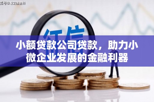 章丘小额贷款公司贷款，助力小微企业发展的金融利器