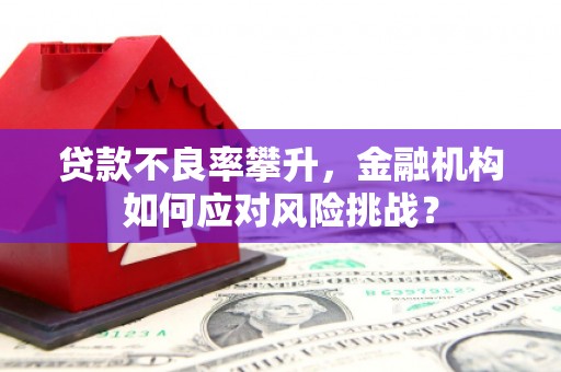 章丘贷款不良率攀升，金融机构如何应对风险挑战？