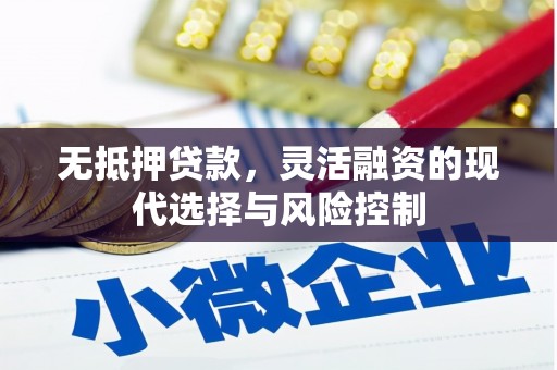 章丘无抵押贷款，灵活融资的现代选择与风险控制