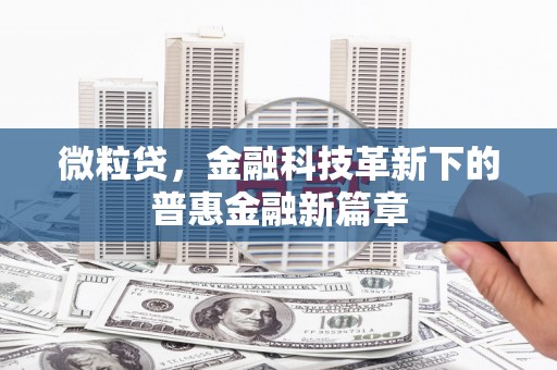 章丘微粒贷，金融科技革新下的普惠金融新篇章