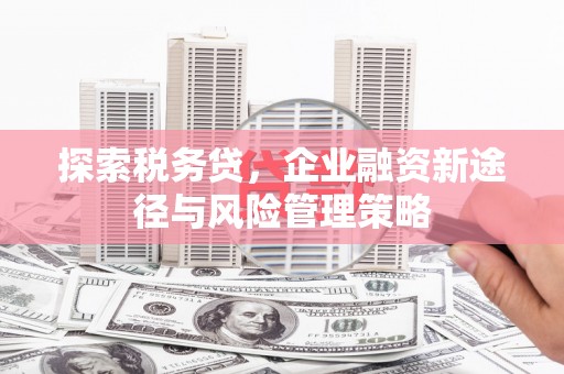 章丘探索税务贷，企业融资新途径与风险管理策略
