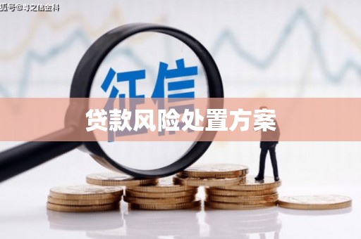章丘贷款风险处置方案