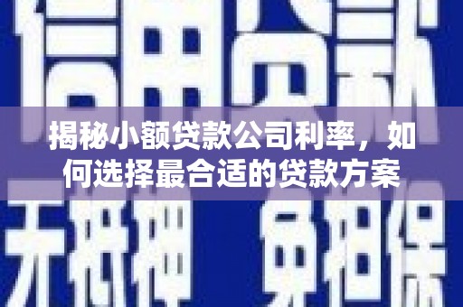 章丘揭秘小额贷款公司利率，如何选择最合适的贷款方案