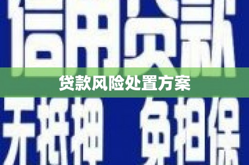 章丘贷款风险处置方案