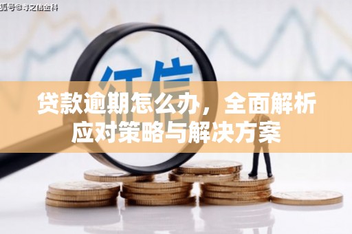 章丘贷款逾期怎么办，全面解析应对策略与解决方案