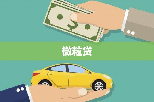 章丘微粒贷