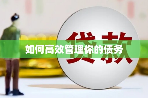 章丘如何高效管理你的债务