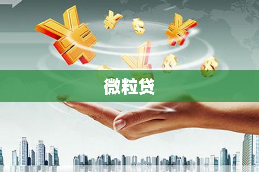 章丘微粒贷