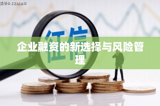 章丘企业融资的新选择与风险管理