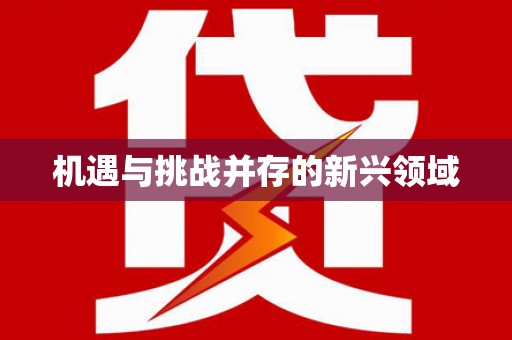 章丘机遇与挑战并存的新兴领域
